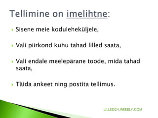 LILLED24.WEEBLY.COMLILLED24.WEEBLY.COM