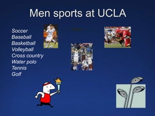 Men sports at UCLA Soccer Baseball Basketball Volleyball Cross countryWater polo   Tennis Golf 