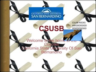 CSUSB Welcome to the home of the Coyotes California State University Of San Bernandino CSUSB ROCKS AWOOOOOOOOOOOOOOOO 