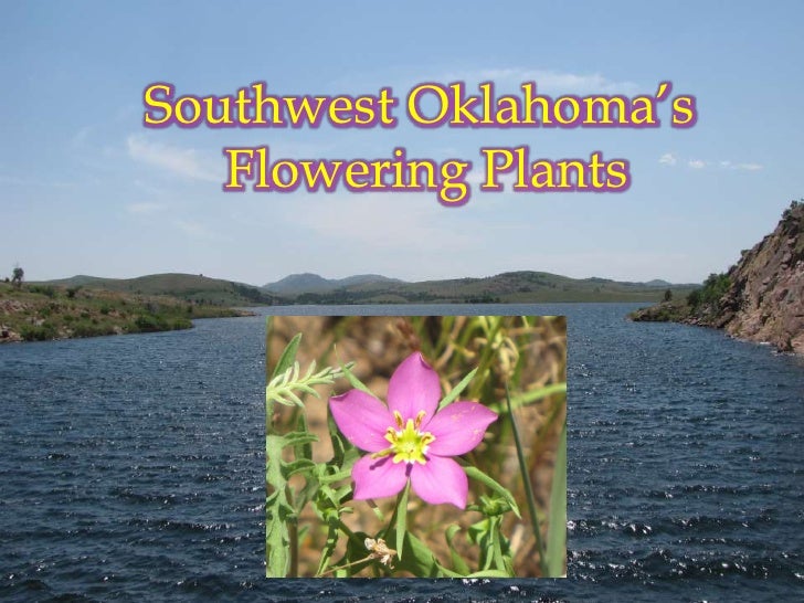 Flowering Plants of Southwest Oklahoma