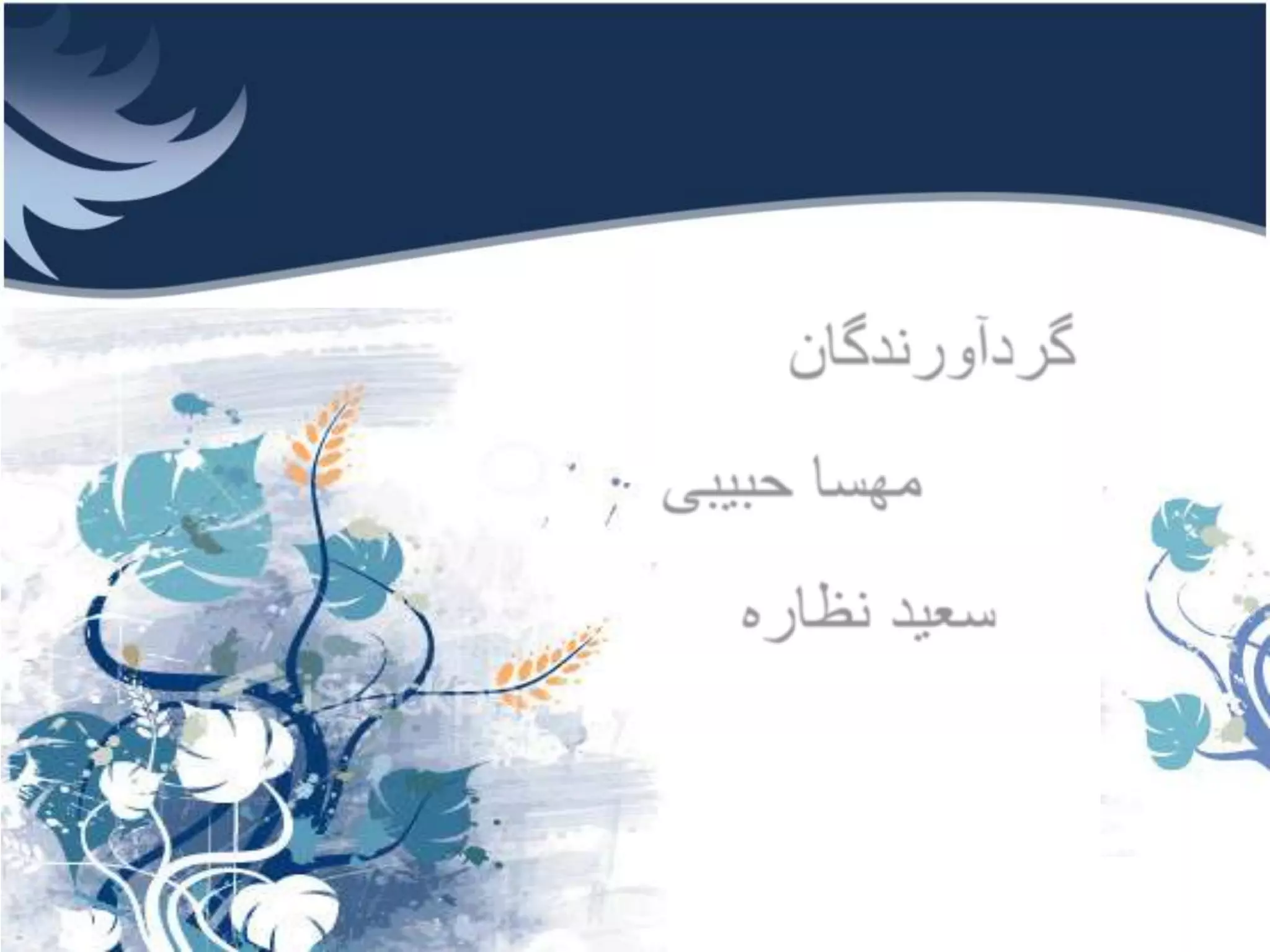 گردآورندگانمهسا حبیبیسعید نظاره