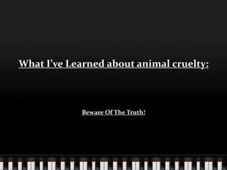 What I’ve Learned about animal cruelty: Beware Of The Truth! 
