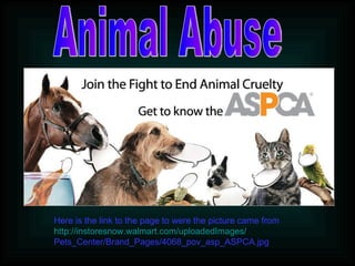 Animal Abuse Here is the link to the page to were the picture came from http://instoresnow.walmart.com/uploadedImages/ Pets_Center/Brand_Pages/4068_pov_asp_ASPCA.jpg 