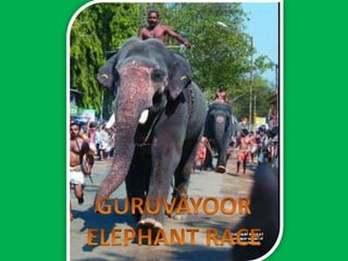GURUVAYOOR ELEPHANT RACE 