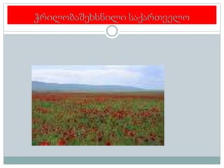 ჭრილობაშეხსნილი საქართველო