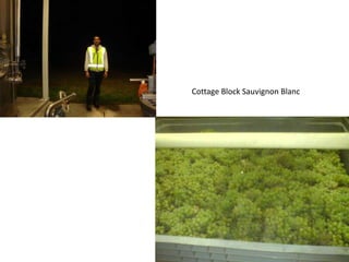 Cottage Block Sauvignon Blanc