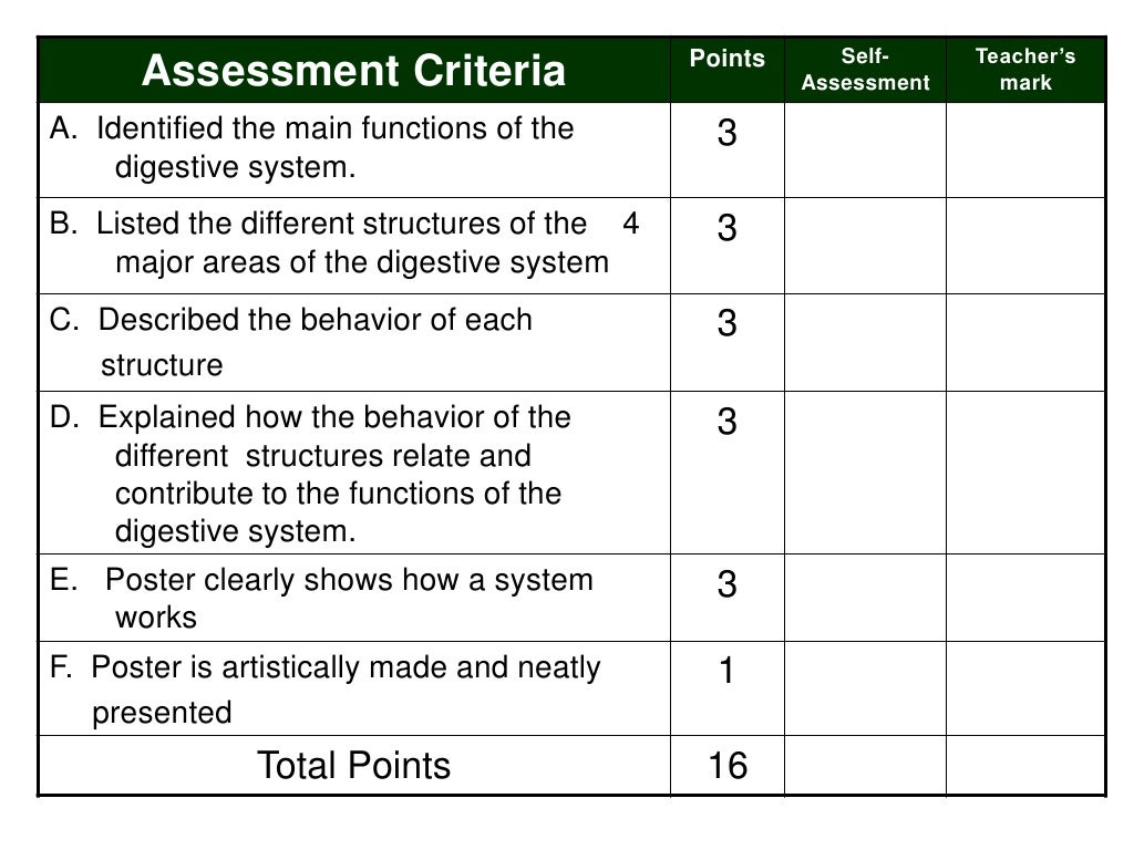 Digestive System Flow Chart