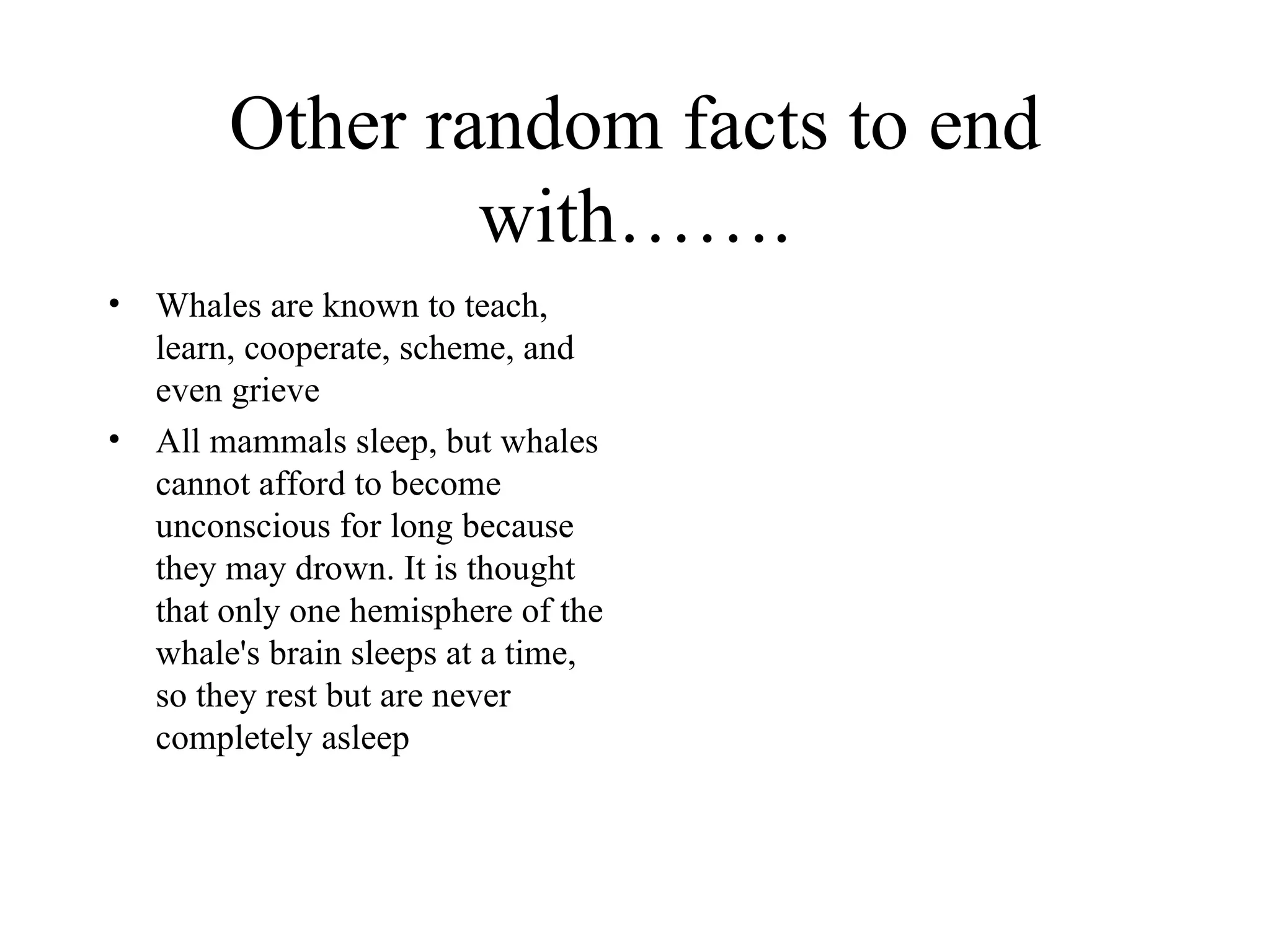Other random facts to end with……. Whales are known to teach, learn, cooperate, scheme, and even grieve All mammals sleep, but whales cannot afford to become unconscious for long because they may drown. It is thought that only one hemisphere of the whale's brain sleeps at a time, so they rest but are never completely asleep  