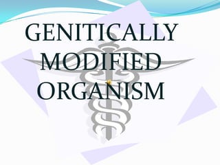 GENITICALLY MODIFIED ORGANISM 