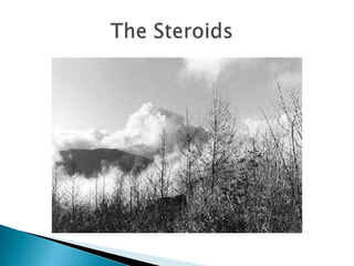               The Steroids