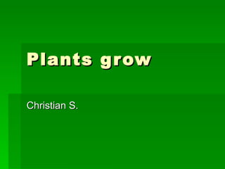 Plants grow Christian S.  