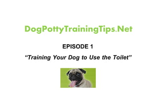 DogPottyTrainingTips.Net
            EPISODE 1
Training Your Dog to Use the Toilet
 
