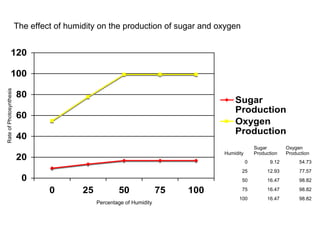 The effect of humidity on the production of sugar and oxygen
0
20
40
60
80
100
120
0 25 50 75 100
Sugar
Production
Oxygen
Production
Percentage of Humidity
Humidity
Sugar
Production
Oxygen
Production
0 9.12 54.73
25 12.93 77.57
50 16.47 98.82
75 16.47 98.82
100 16.47 98.82
RateofPhotosynthesis
 