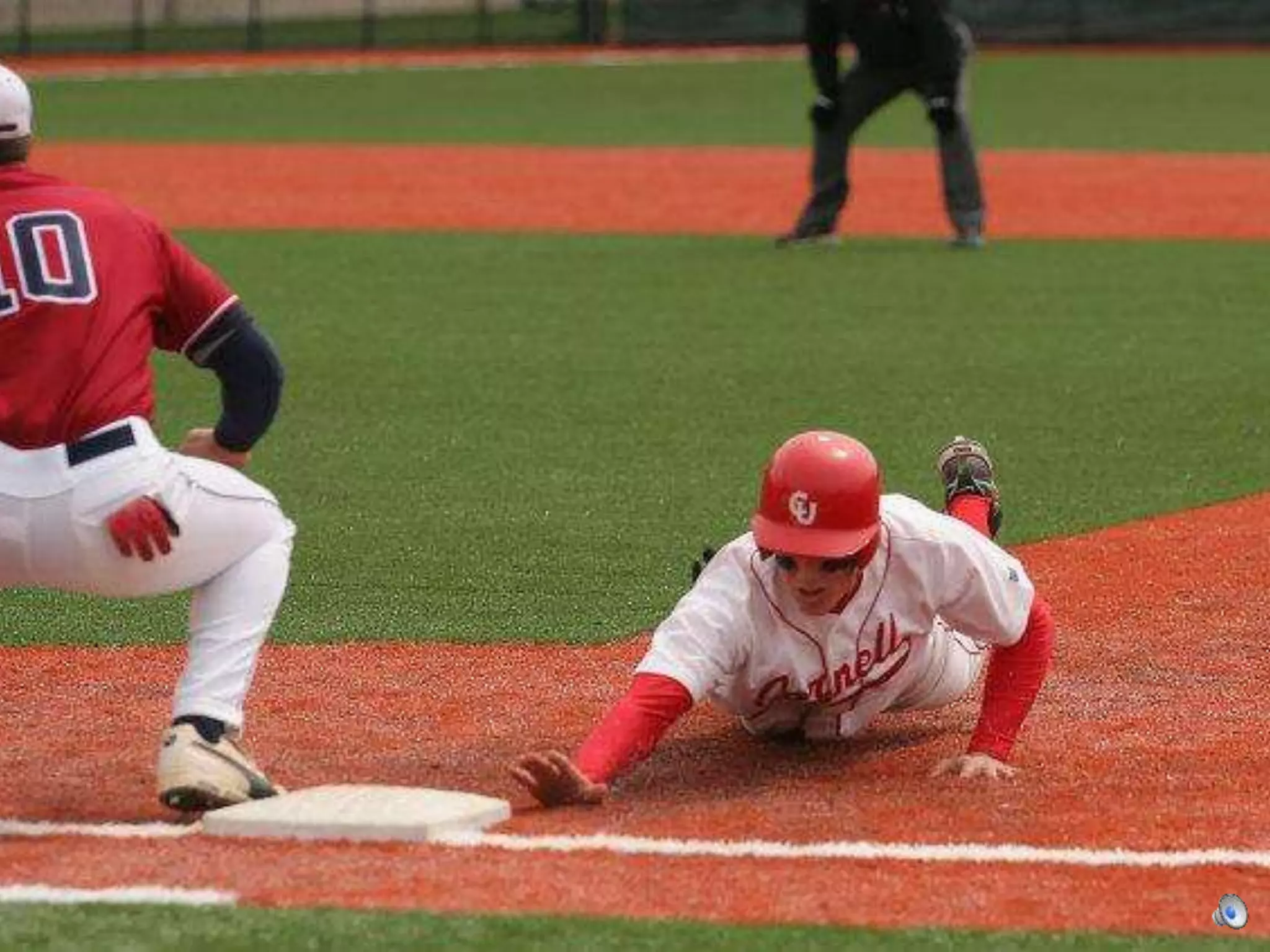 Amherst Audubon Field
