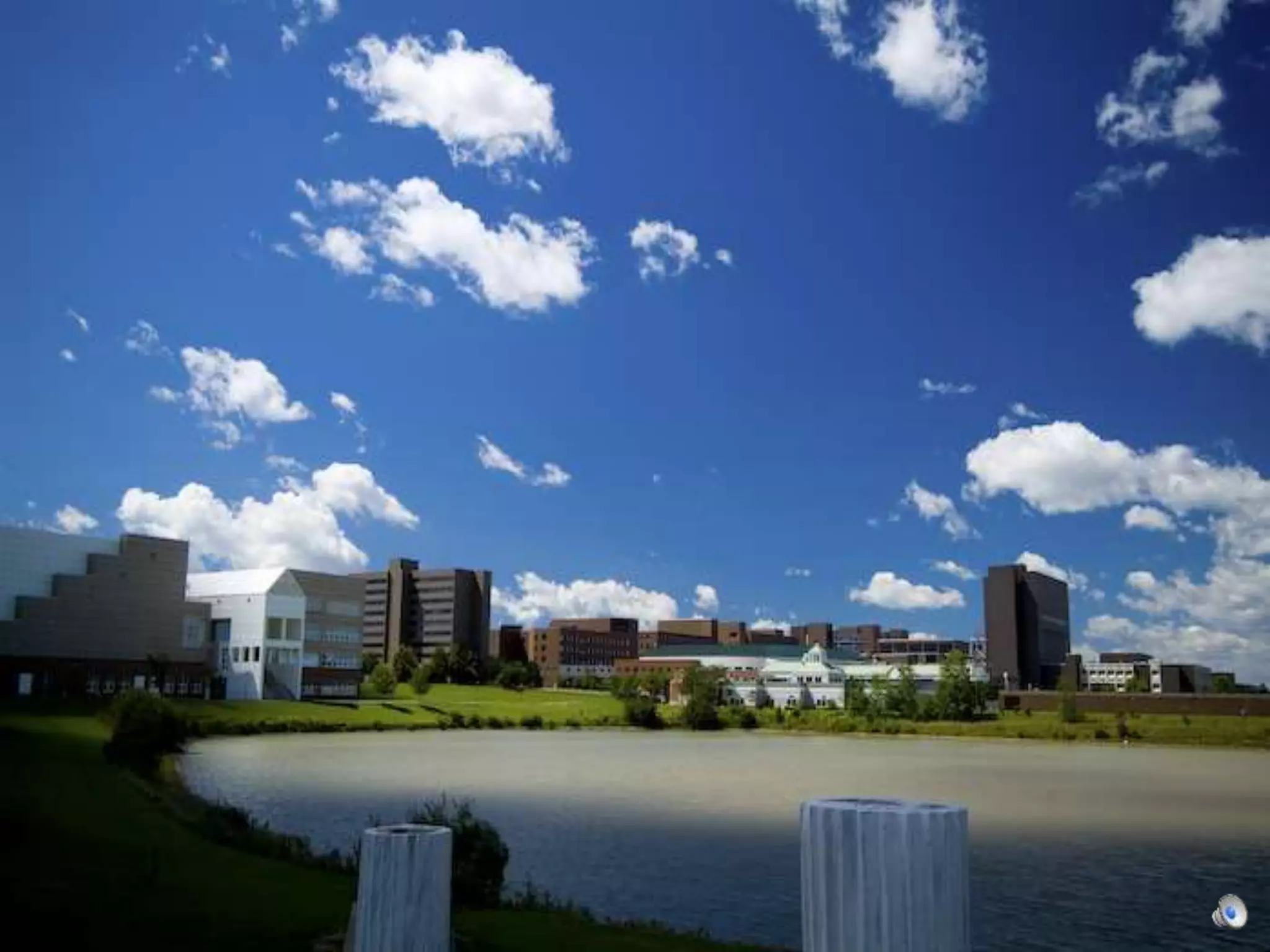 Amherst Audubon Field
