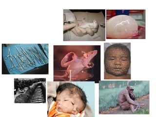 James Troughton mood slide show