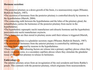 This is an unpaired small ovoid gland and is no longer than the end of the little finger. 