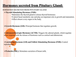 Because of the close proximity of the pituitary gland to major intracranial nerves and blood vessels, as well as the vital hormonal control the pituitary gland provides, disorders of the pituitary can cause a wide spectrum of symptoms, both hormonal and neurological.Pituitary Gland
