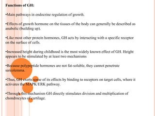 Proper function of the anterior pituitary and of the organs it regulates can often be ascertained via blood tests that measure hormone levels.AnatomyThe pituitary gland is a pea-sized gland that sits in a protective bony enclosure called the sella turcica. It is composed of three lobes: anterior, intermediate, and posterior. In many animals, these three lobes are distinct. However, in humans, the intermediate lobe is but a few cell layers thick and indistinct; as a result, it is often considered part of the anterior pituitary. In all animals, the fleshy, glandular anterior pituitary is distinct from the neural composition of the posterior pituitary.The anterior pituitary is composed of multiple parts:Pars distalis The pars distalis, or "distal part", comprises the majority of the anterior pituitary and is where the bulk of pituitary hormone production occurs. Occasionally, "pars distalis" is incorrectly used as a synonym for the anterior pituitary.[citation needed]