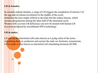 The hypothalmicsupraoptic nuclei manufacture anti-diruetic hormone and the hypothalmicparaventricular nuclei manufacture oxytocin. 