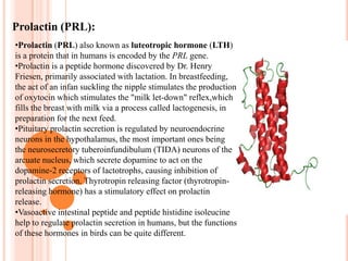 These inhibiting and releasing factors are release into a primary capillary plexus where they travel, via portal veins, to a secondary capillary plexus where they stimulate the glandular tissue of the anterior pituitary to release its hormones.Embryology:The anterior pituitary arises from an invagination of the oral ectoderm and forms Rathke's pouch. This contrasts with the posterior pituitary, which originates from neuroectoderm.