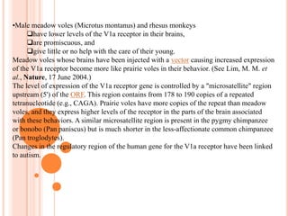 Adrenocorticotropic Hormone (ACTH): Triggers the adrenal glands, which regulate stress response with the release of hormones such as cortisol and aldosterone. 