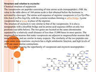 it is released in large amounts after distension of the cervix and uterus during labor