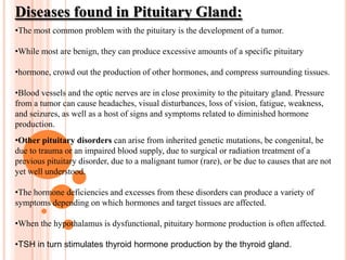 Vasopressin, also called anti-diuretic hormone (ADH): Promotes water retention.