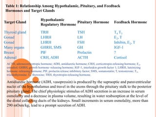 The pituitary gland secretes hormones regulating homeostasis, including tropic hormones that stimulate other endocrine glands. 