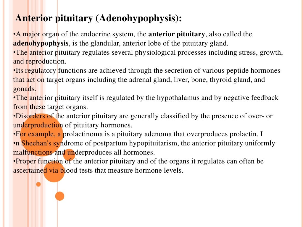 Pituitary Gland