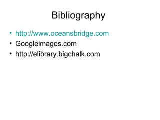 Bibliography  http://www.oceansbridge.com Googleimages.com http://elibrary.bigchalk.com 