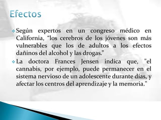  Según expertos en un congreso médico en
California, “los cerebros de los jóvenes son más
vulnerables que los de adultos a los efectos
dañinos del alcohol y las drogas.”
 La doctora Frances Jensen indica que, "el
cannabis, por ejemplo, puede permanecer en el
sistema nervioso de un adolescente durante días, y
afectar los centros del aprendizaje y la memoria."
 