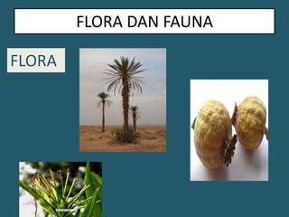 FLORA DAN FAUNAFLORA