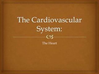 The Cardiovascular System: The Heart 