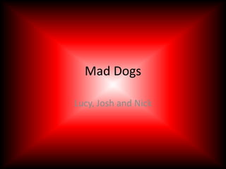 Mad Dogs Lucy, Josh and Nick 