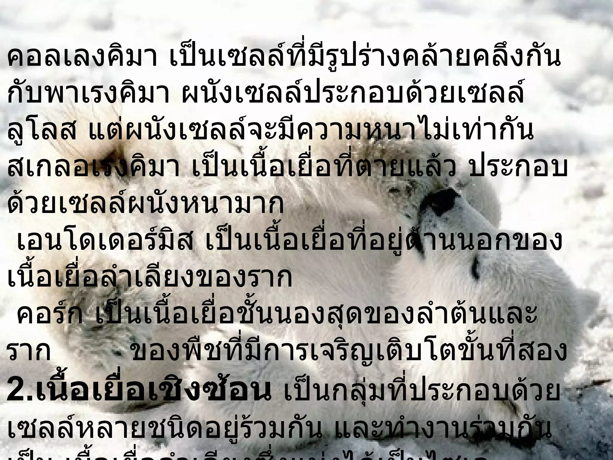 คอลเลงคิมา เป็นเซลล์ที่มีรูปร่างคล้ายคลึงกันกับพาเรงคิมา ผนังเซลล์ประกอบด้วยเซลล์ลูโลส แต่ผนังเซลล์จะมีความหนาไม่เท่ากัน สเกลอเรงคิมา เป็นเนื้อเยื่อที่ตายแล้ว ประกอบด้วยเซลล์ผนังหนามาก เอนโดเดอร์มิส เป็นเนื้อเยื่อที่อยู่ด้านนอกของเนื้อเยื่อลำเลียงของราก คอร์ก เป็นเนื้อเยื่อชั้นนองสุดของลำต้นและราก  ของพืชที่มีการเจริญเติบโตขั้นที่สอง 2. เนื้อเยื่อเชิงซ้อน  เป็นกลุ่มที่ประกอบด้วยเซลล์หลายชนิดอยู่ร้วมกัน และทำงานร่วมกันเป็น เนื้อเยื่อลำเลียงซึ่งแบ่งได้เป็นไซเลมกับโฟเอ็ม 