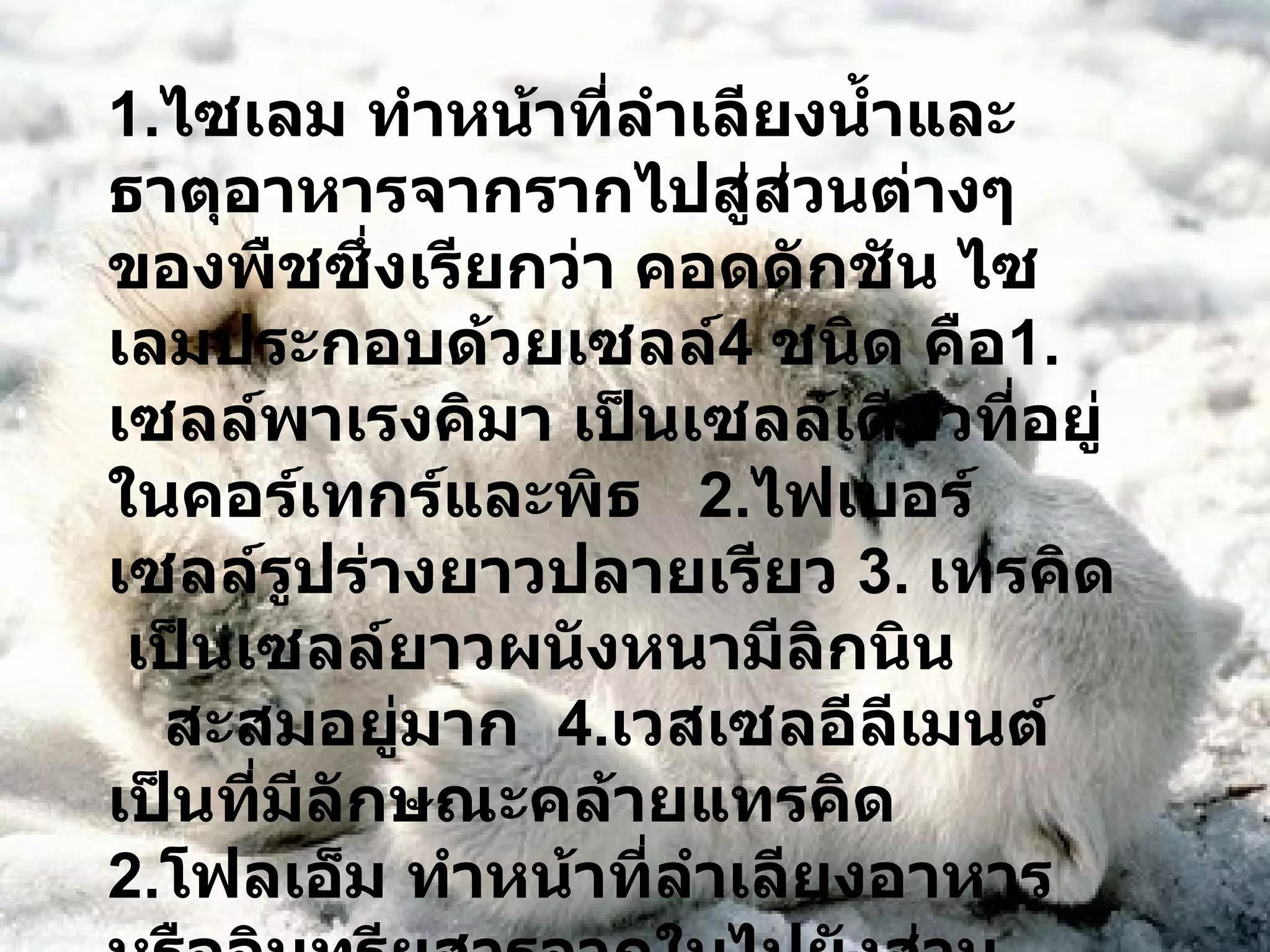 1. ไซเลม ทำหน้าที่ลำเลียงน้ำและธาตุอาหารจากรากไปสู่ส่วนต่างๆของพืชซึ่งเรียกว่า คอดดักชัน ไซเลมประกอบด้วยเซลล์ 4  ชนิด คือ 1. เซลล์พาเรงคิมา เป็นเซลล์เดียวที่อยู่ในคอร์เทกร์และพิธ  2. ไฟเบอร์ เซลล์รูปร่างยาวปลายเรียว  3.  เทรคิด  เป็นเซลล์ยาวผนังหนามีลิกนิน  สะสมอยู่มาก  4. เวสเซลอีลีเมนต์ เป็นที่มีลักษณะคล้ายแทรคิด 2. โฟลเอ็ม ทำหน้าที่ลำเลียงอาหารหรืออินทรียสารจากใบไปยังส่วนต่างๆของพืช 