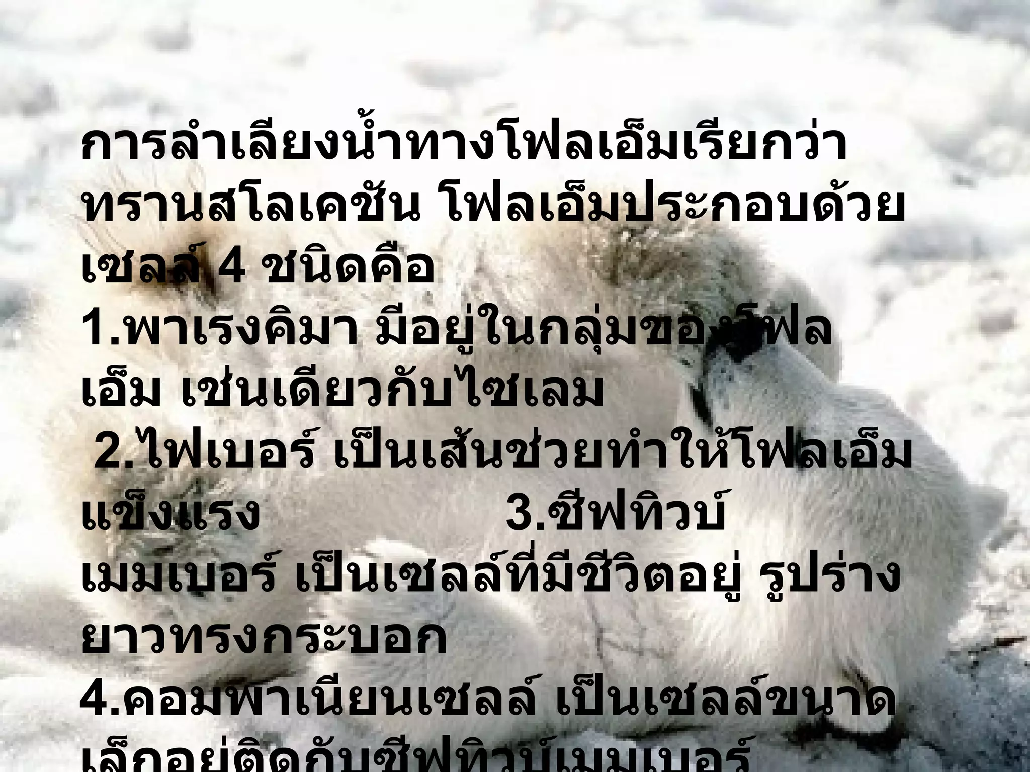 การลำเลียงน้ำทางโฟลเอ็มเรียกว่า ทรานสโลเคชัน โฟลเอ็มประกอบด้วยเซลล์  4  ชนิดคือ 1. พาเรงคิมา มีอยู่ในกลุ่มของโฟลเอ็ม เช่นเดียวกับไซเลม  2. ไฟเบอร์ เป็นเส้นช่วยทำให้โฟลเอ็มแข็งแรง  3. ซีฟทิวบ์เมมเบอร์ เป็นเซลล์ที่มีชีวิตอยู่ รูปร่างยาวทรงกระบอก 4. คอมพาเนียนเซลล์ เป็นเซลล์ขนาดเล็กอยู่ติดกับซีฟทิวบ์เมมเบอร์ 