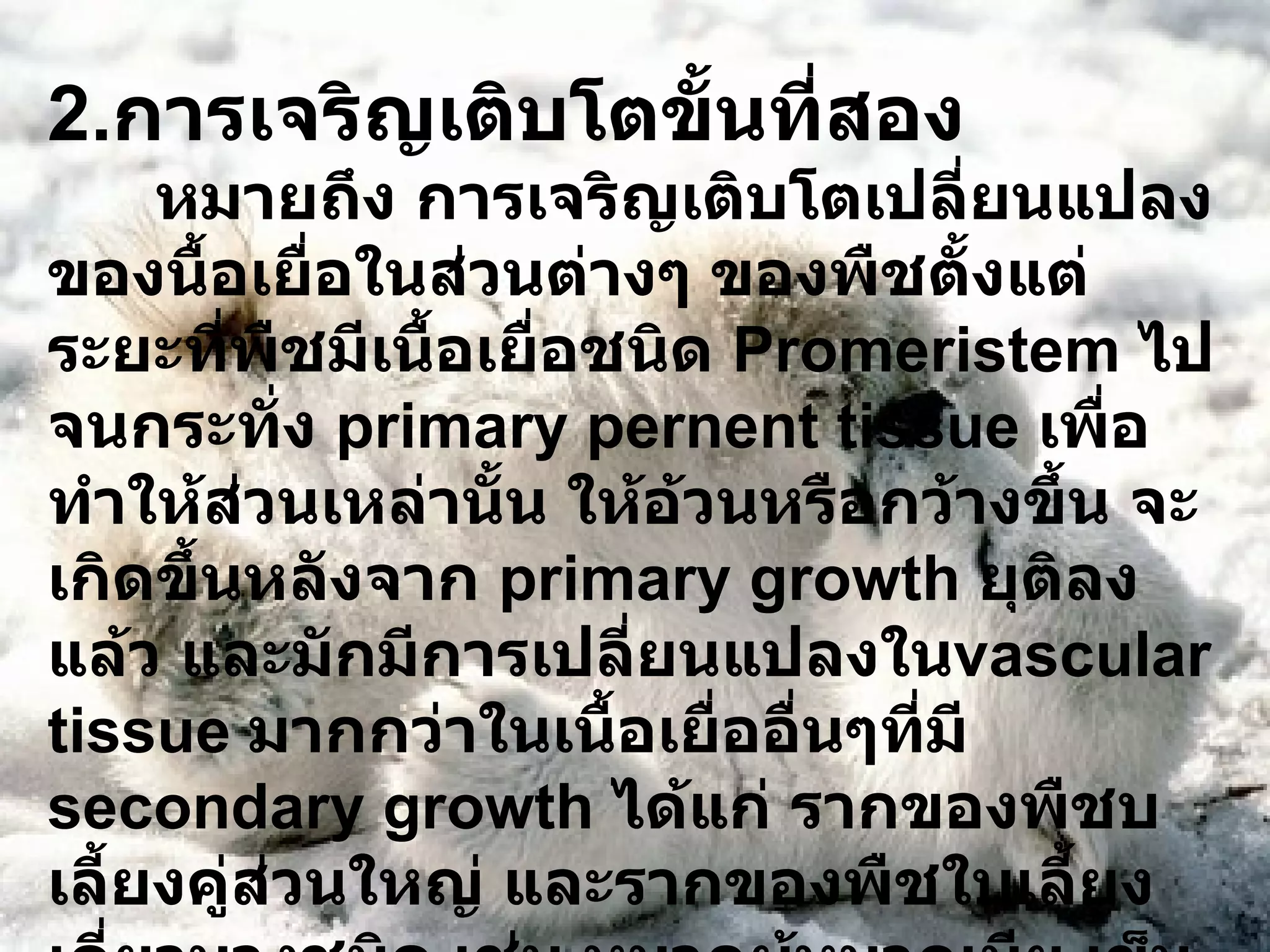 2. การเจริญเติบโตขั้นที่สอง หมายถึง การเจริญเติบโตเปลี่ยนแปลงของนื้อเยื่อในส่วนต่างๆ ของพืชตั้งแต่ระยะที่พืชมีเนื้อเยื่อชนิด  Promeristem  ไปจนกระทั่ง  primary pernent tissue  เพื่อทำให้ส่วนเหล่านั้น ให้อ้วนหรือกว้างขึ้น จะเกิดขึ้นหลังจาก  primary growth  ยุติลงแล้ว และมักมีการเปลี่ยนแปลงใน vascular tissue  มากกว่าในเนื้อเยื่ออื่นๆที่มี  secondary growth  ได้แก่ รากของพืชบเลี้ยงคู่ส่วนใหญ่ และรากของพืชใบเลี้ยงเดี่ยวบางชนิด เช่น หมากผู้หมากเมีย เข็มกุดั่น ว่านหางจระเข้ ศรนารายณ์หรือร้อยปีและจันทน์แดง 
