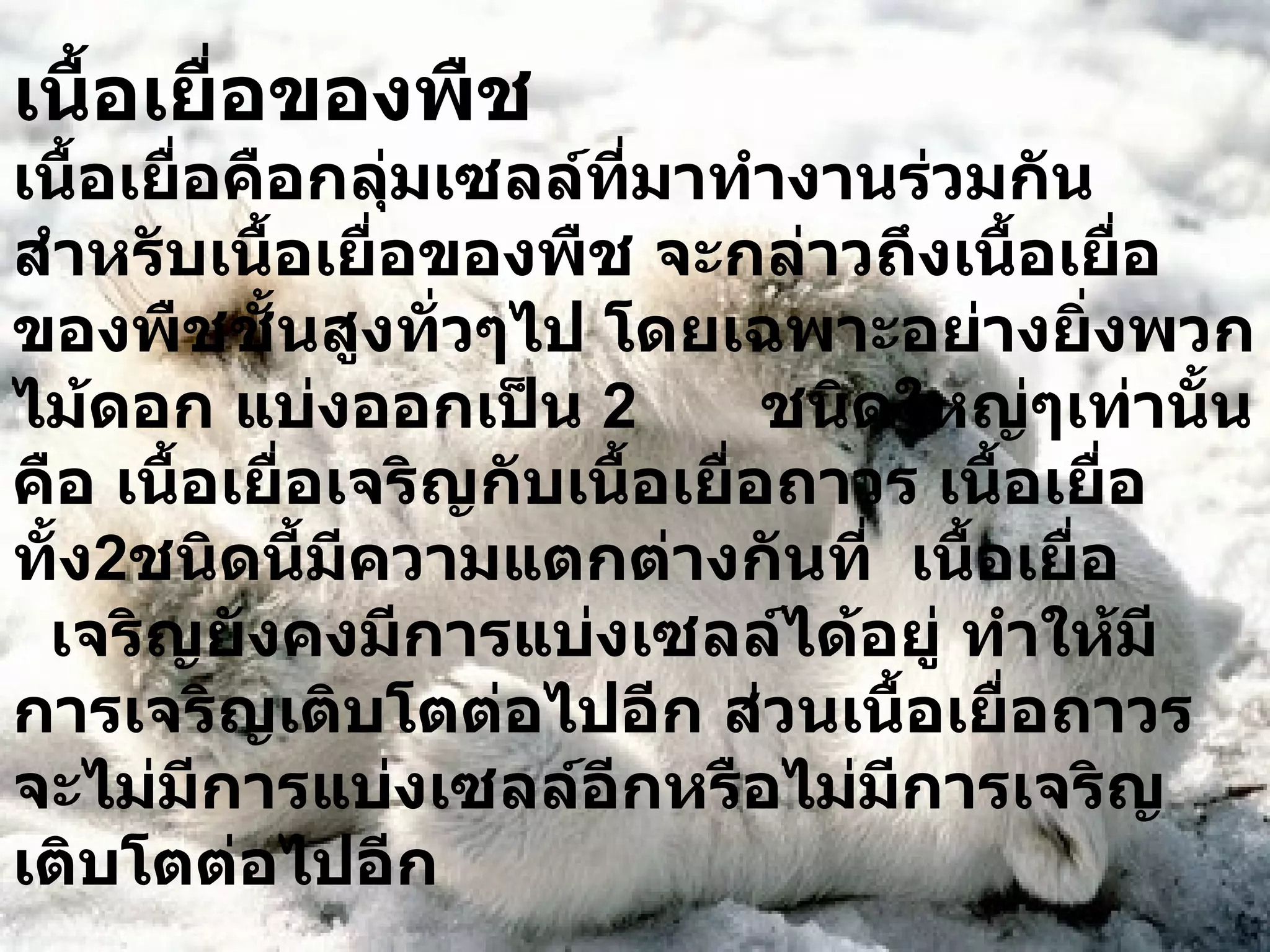 เนื้อเยื่อของพืช เนื้อเยื่อคือกลุ่มเซลล์ที่มาทำงานร่วมกัน สำหรับเนื้อเยื่อของพืช จะกล่าวถึงเนื้อเยื่อของพืชชั้นสูงทั่วๆไป โดยเฉพาะอย่างยิ่งพวกไม้ดอก แบ่งออกเป็น  2  ชนิดใหญ่ๆเท่านั้น คือ เนื้อเยื่อเจริญกับเนื้อเยื่อถาวร เนื้อเยื่อทั้ง 2 ชนิดนี้มีความแตกต่างกันที่  เนื้อเยื่อ  เจริญยังคงมีการแบ่งเซลล์ได้อยู่ ทำให้มีการเจริญเติบโตต่อไปอีก ส่วนเนื้อเยื่อถาวรจะไม่มีการแบ่งเซลล์อีกหรือไม่มีการเจริญเติบโตต่อไปอีก 