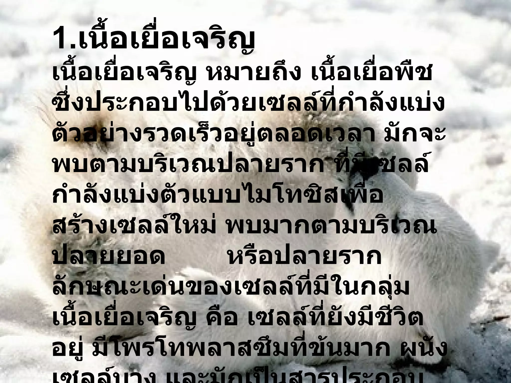 1. เนื้อเยื่อเจริญ เนื้อเยื่อเจริญ หมายถึง เนื้อเยื่อพืชซึ่งประกอบไปด้วยเซลล์ที่กำลังแบ่งตัวอย่างรวดเร็วอยู่ตลอดเวลา มักจะพบตามบริเวณปลายราก ที่มีเซลล์กำลังแบ่งตัวแบบไมโทซิสเพื่อ สร้างเซลล์ใหม่ พบมากตามบริเวณปลายยอด  หรือปลายราก ลักษณะเด่นของเซลล์ที่มีในกลุ่มเนื้อเยื่อเจริญ คือ เซลล์ที่ยังมีชีวิตอยู่ มีโพรโทพลาสซึมที่ข้นมาก ผนังเซลล์บาง และมักเป็นสารประกอบลูโลสเป็นส่วนใหญ่ 