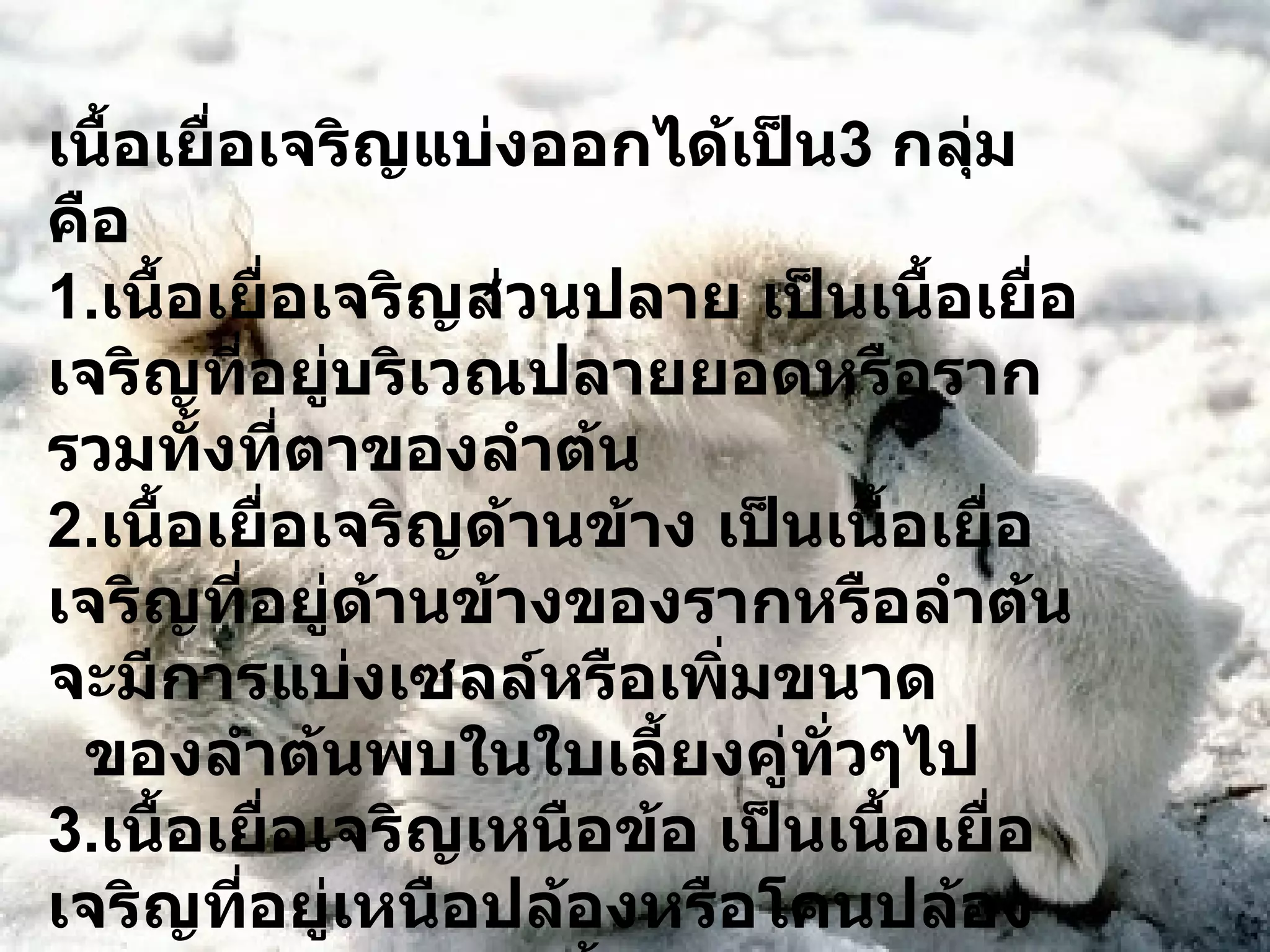เนื้อเยื่อเจริญแบ่งออกได้เป็น 3  กลุ่ม คือ 1. เนื้อเยื่อเจริญส่วนปลาย เป็นเนื้อเยื่อเจริญที่อยู่บริเวณปลายยอดหรือราก รวมทั้งที่ตาของลำต้น 2. เนื้อเยื่อเจริญด้านข้าง เป็นเนื้อเยื่อเจริญที่อยู่ด้านข้างของรากหรือลำต้นจะมีการแบ่งเซลล์หรือเพิ่มขนาด  ของลำต้นพบในใบเลี้ยงคู่ทั่วๆไป 3. เนื้อเยื่อเจริญเหนือข้อ เป็นเนื้อเยื่อเจริญที่อยู่เหนือปล้องหรือโคนปล้อง ทำให้ปล้องยืดยาวขึ้นพบได้ในใบเลี้ยงเดี่ยวบางชนิด 