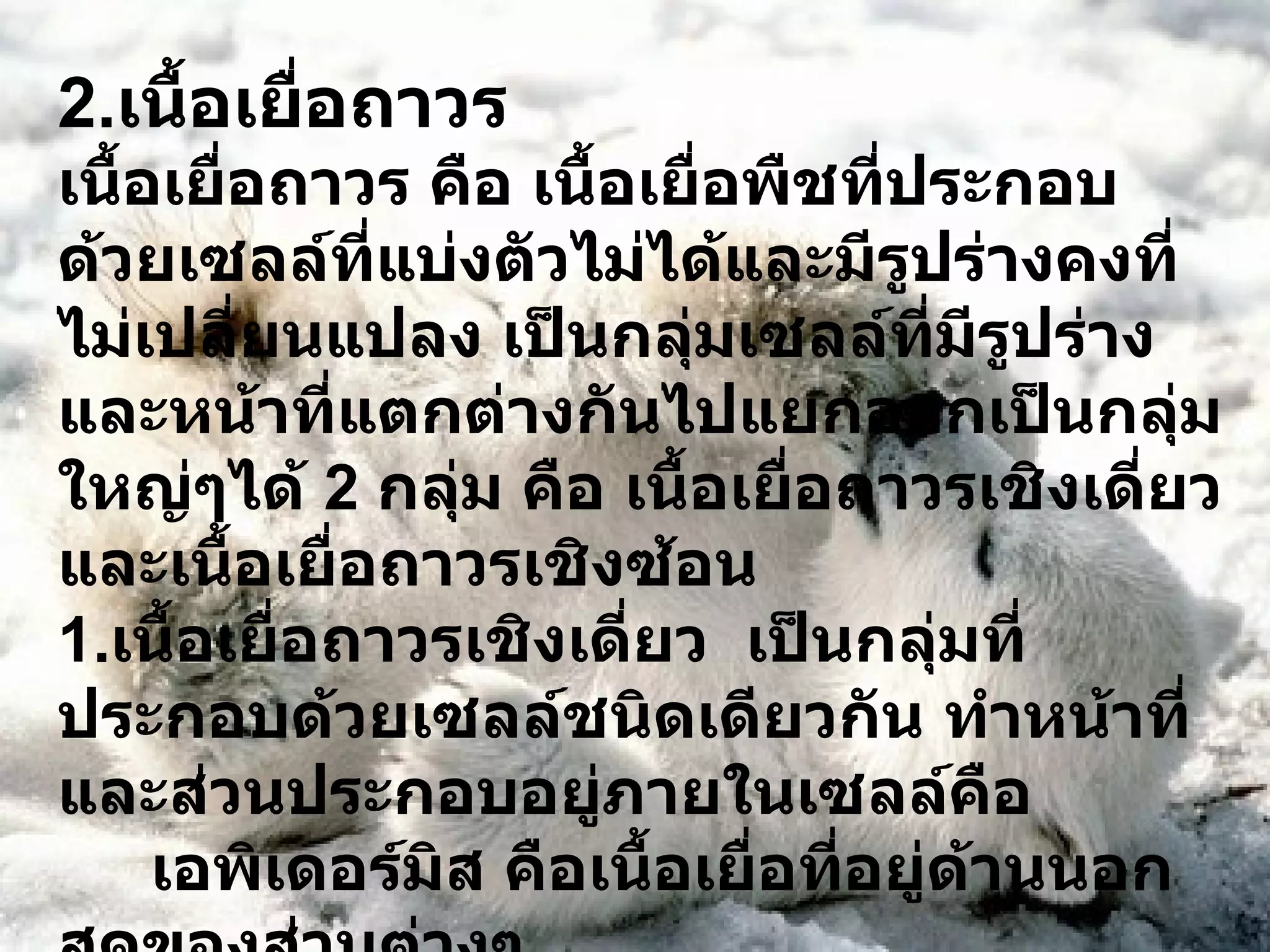 2. เนื้อเยื่อถาวร เนื้อเยื่อถาวร คือ เนื้อเยื่อพืชที่ประกอบด้วยเซลล์ที่แบ่งตัวไม่ได้และมีรูปร่างคงที่ไม่เปลี่ยนแปลง เป็นกลุ่มเซลล์ที่มีรูปร่างและหน้าที่แตกต่างกันไปแยกออกเป็นกลุ่มใหญ่ๆได้  2  กลุ่ม คือ เนื้อเยื่อถาวรเชิงเดี่ยว และเนื้อเยื่อถาวรเชิงซ้อน 1. เนื้อเยื่อถาวรเชิงเดี่ยว  เป็นกลุ่มที่ประกอบด้วยเซลล์ชนิดเดียวกัน ทำหน้าที่ และส่วนประกอบอยู่ภายในเซลล์คือ เอพิเดอร์มิส คือเนื้อเยื่อที่อยู่ด้านนอกสุดของส่วนต่างๆ พาเรงคิมา เนื้อเยื่อชนิดนี้พบได้ทั่วไปพบมากสุดในพืชเป็นเซลล์ที่ยังมีชีวิตอยู่มีรูปร่างหลายแบบได้แก่ค่อนข้างกลมรี หรือรูปทรงกระบอก 