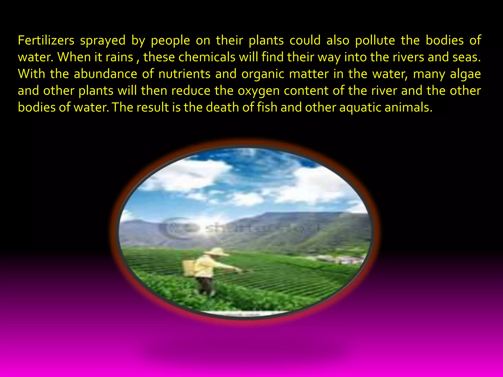 Washing clothes and dishes in the rivers and lakes is also not a good practice. The detergents used by the people for washing could poison the fish and the other aquatic animals and plants living in them.