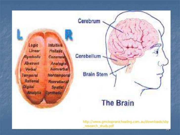 superbrain yoga