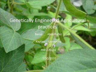 Genetically Engineered Agriculturalpractices                                                   ::: Baraa       Abdelhafez                                                              Kaplan     University                                                              	 HW 220- 02                                                                       3/30/2010 