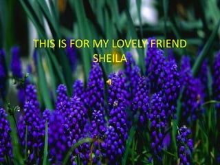 THIS IS FOR MY LOVELY FRIEND SHEILA 