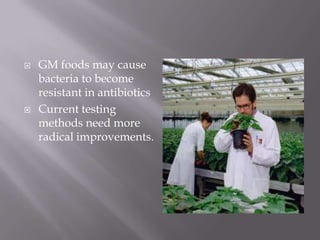 GM foods may cause bacteria to become resistant in antibioticsCurrent testing methods need more radical improvements.
