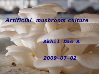 Artificial  mushroom culture Akhil Das A  2009-07-02 