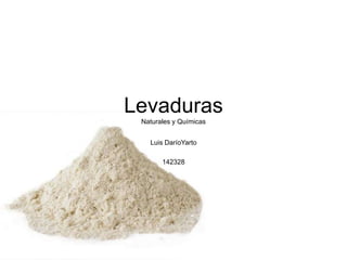 LevadurasNaturales y Químicas Luis DaríoYarto 142328 